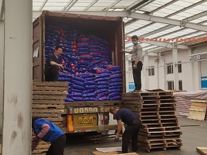 Cambodia Container Loading Inspection